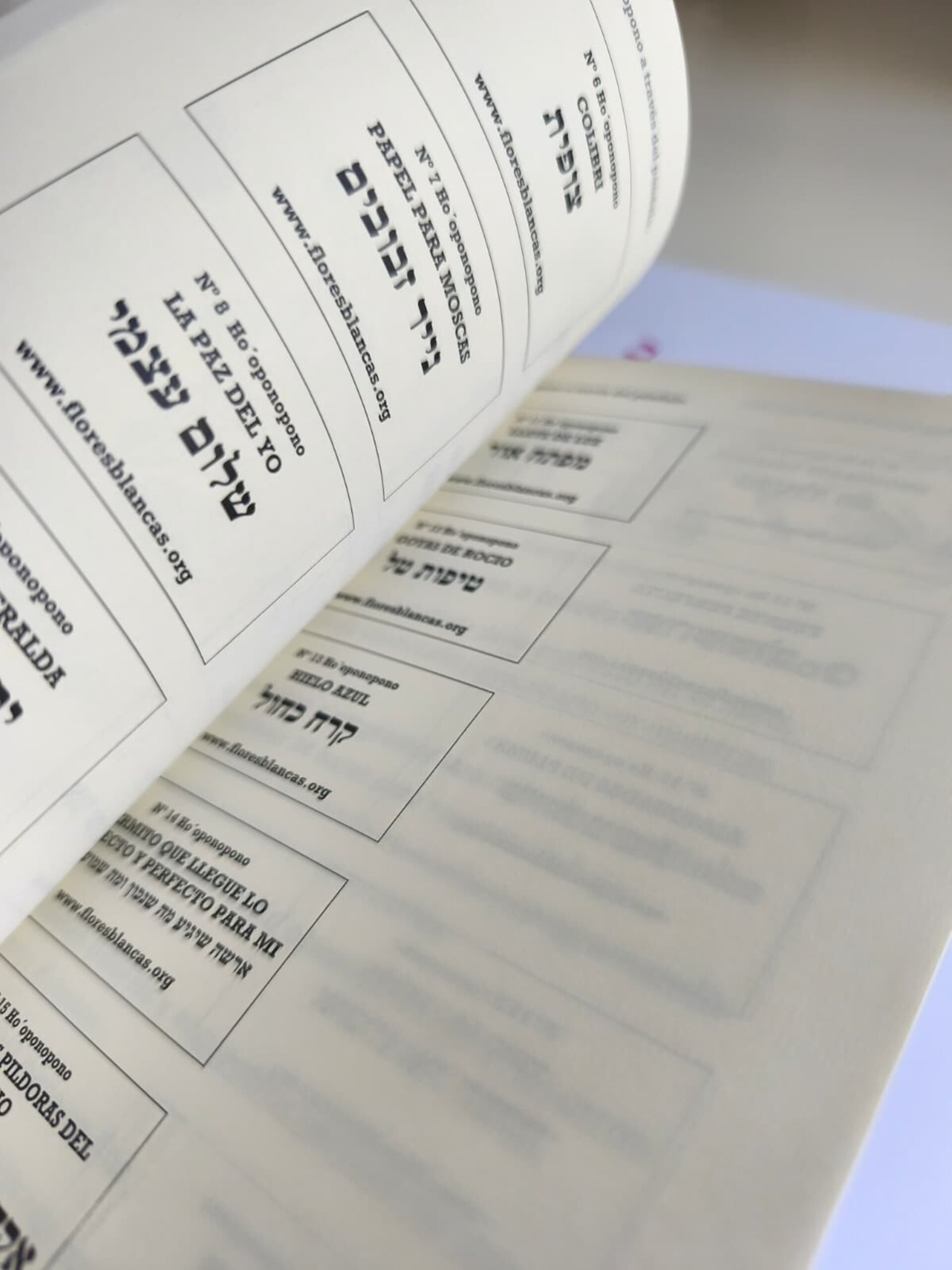 Ho´oponopono a través del Péndulo - 2