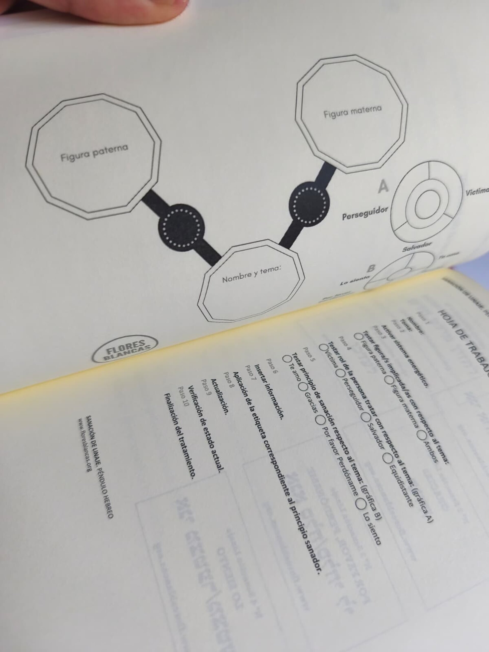 Sanación de Linaje, Péndulo Hebreo - 2