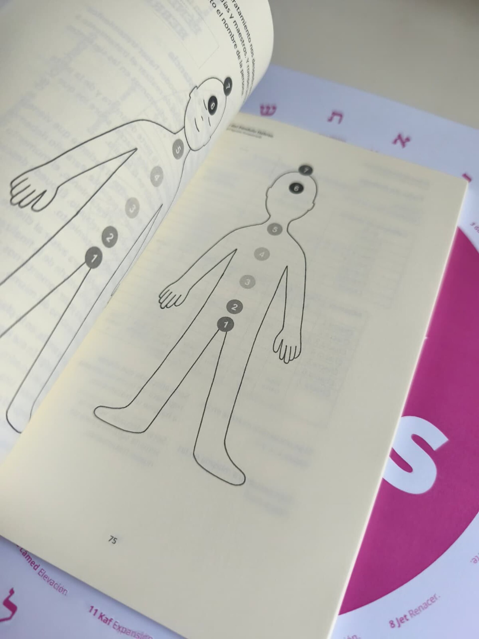 El libro del Péndulo Hebreo - 3