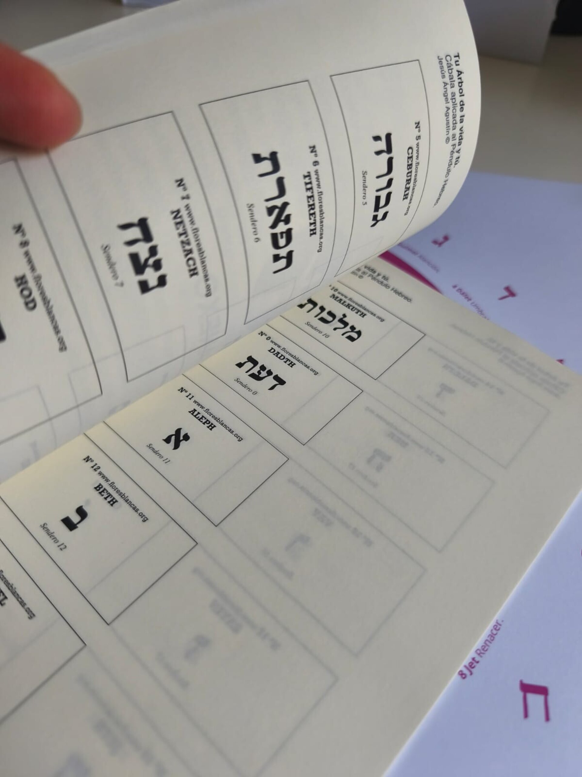 Tu árbol de la vida y tú. Cábala aplicada al Péndulo Hebreo. - 3