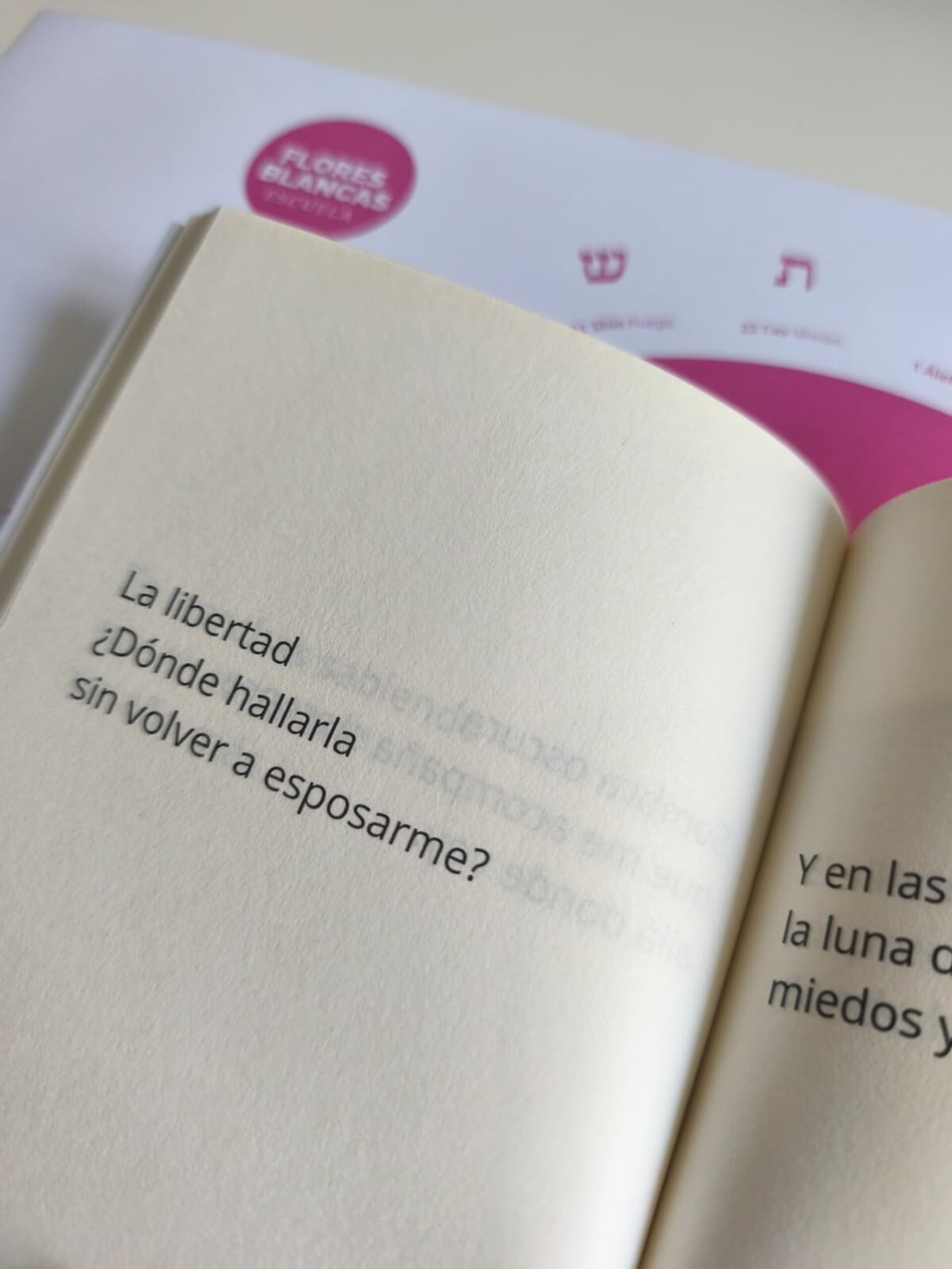 Haiku, Un viaje. - 3